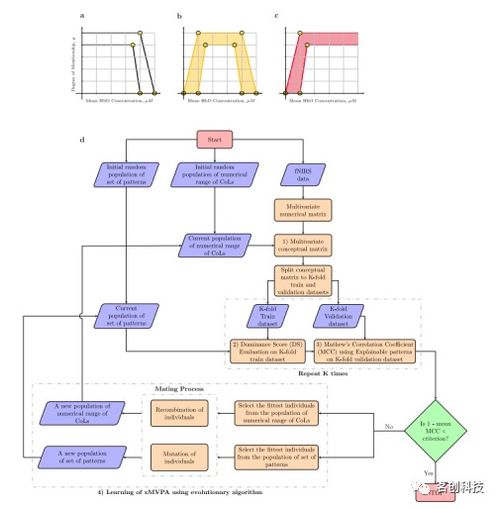 發(fā)展認知神經(jīng)科學(xué)視域下基于可解釋人工智能模型的嬰兒fNIRS數(shù)據(jù)分析與基礎(chǔ)軟件開發(fā)